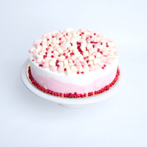 geheel plantaardig: ijstaart gemaakt met biologisch citroensap en vegan marshmellows