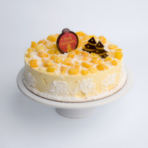mango kokos kerst ijstaart 6-8 personen geheel vegan